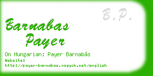barnabas payer business card